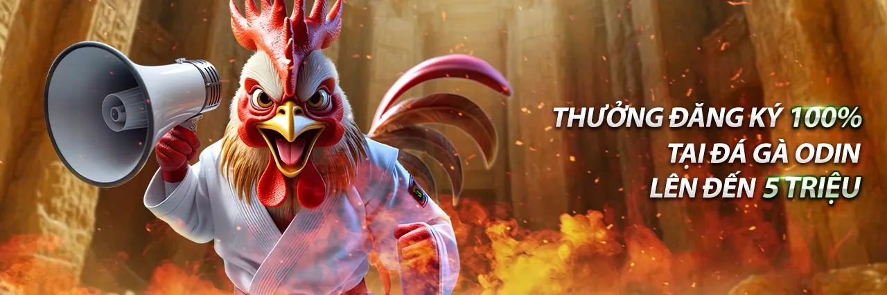 Hình ảnh chủ đề blog kangenk8